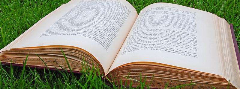 Lesen
